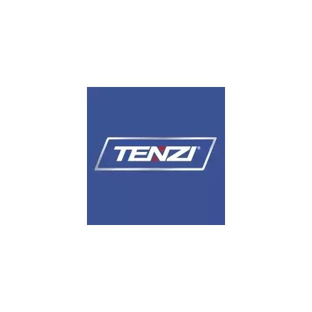TENZI