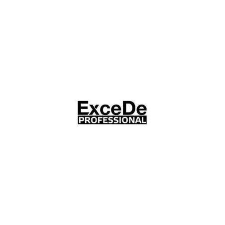 ExceDe Professional