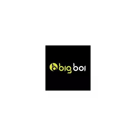 Big Boi